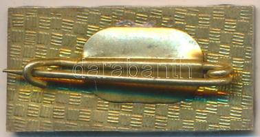 DN "X. Vit Berlin (Ifjúsági Találkozó)" zománcozott fém jelvény T:2