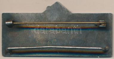 1967. "FIJET 12. Kongresszus Magyarország 1967." zománcozott fém jelvény T:2