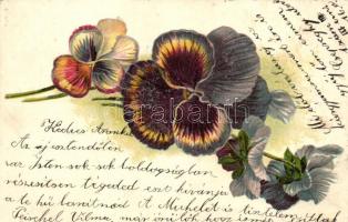 Pansy, decorated posrcard, litho