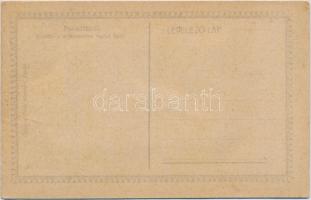 Parádfürdő, kilátás a Kékestetőre Parád felől; Pauncz Illés kiadása, leporellocard