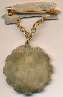 DN "Kiváló Termelőszövetkezeti Dolgozó" zománcozott fém kitüntetés tokban T:2