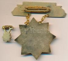 DN "Mezőgazdaság Kiváló Dolgozója" zománcozott, aranyozott fém kitüntetés tokban, miniatűr...