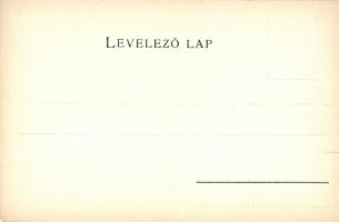 Pest megye / county map