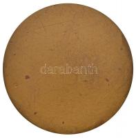 Osztrák-Magyar Monarchia 1912. "Kolo" Br plakett. Szign.: Ivo Kerdic (55mm) T:2-
Austro-Hu...