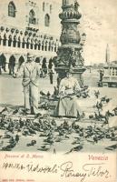 Venice, Venezia; Piccioni di S. Marco / Pigeons (wet damage)