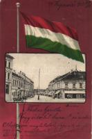 Kaposvár, Korona utca, Geiszler Nep. János üzlete, zászló, Gerő Zsigmond kiadása, litho (fa)