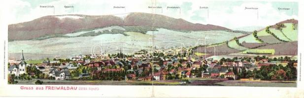 Jeseník, Fryvaldov, Freiwaldau panoramacard