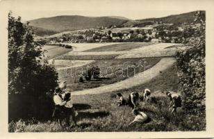 20 db vegyes magyar városképes lap / 20 mixed Hungarian postcards