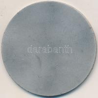 1970. "Magyar Autóklub Sport Bizottsága / Kiváló Sport Munkáért" fém emlékérem tokban (60m...