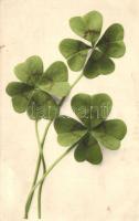 Clovers