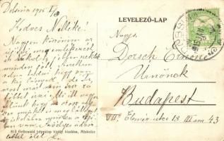 Dobsina, Polgári leányiskola; Grünwald képeslap király kiadása / girl school