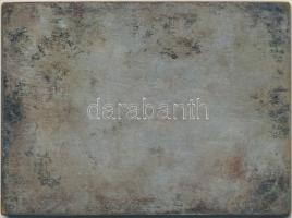 1949. "Magyar Turista Egyesület - Balatonszárszó - József Attila Emléktúra" zománcozott fé...