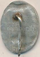 DN "Nem Soha Nem" fém irredenta kitűző T:2 kis rep