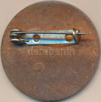 DN Rákóczi címeres, zománcozott fém kitűző T:2