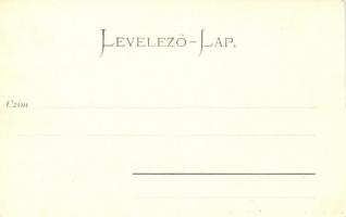 Késmárk, Régi és új lyceum / Altes und neues Lyceum /  school buildings