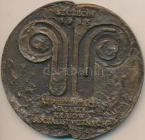 Lengyelország 1985. "Szczecin - A Szocialista Országok Festőinek XI. Kiállítása" Br plakett (~100mm) T:2 Poland 1985. "XIth Presentation of Painters of the Socialist Countries" br plaque (~100mm) C:XF