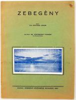 Dr. Kertész János: Zebegény. Galochi Dr. Tömösváry Tivadar előszavával. Bp., 1937, Zebegény Közönsége. Kiadói papírkötés, jó állapotban.