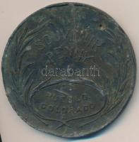 Amerikai Egyesült Államok DN "Szerencsepénz / Puebla Colorado" fém emlékérem (69mm) T:3  USA ND "Lucky penny / Puebla Colorado" metal commemorative medallion (69mm) C:F