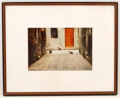 Kendall Jane: La chat Caché.  Venise 1987. Jelzett,sorszámozott 2/20. Paszpartuban, üvegezett keretben. Fotó méret:19x29cm, keret méret:42x52