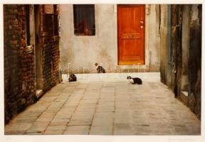 Kendall Jane: La chat Caché.  Venise 1987. Jelzett,sorszámozott 2/20. Paszpartuban, üvegezett keretb...