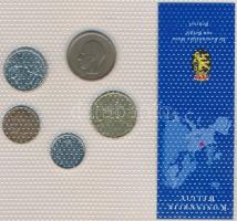 Belgium 1966-1991. 50c-20Fr 5klf darab "Az utolsó Frank forgalmi pénzek" szettben T:1,2
Be...