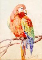 Madarász jelzéssel: Arapapagáj, olaj, farost, üvegezett keretben, 19×14 cm