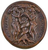 Madarassy Walter (1909-1994) DN "1823-1864 Madách Imre / Az Ember Tragédiája" Br plakett (...