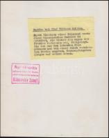 Régi fénykép: Budha szobor, jelzett: Bilderarchiv Scherl, 18x22cm