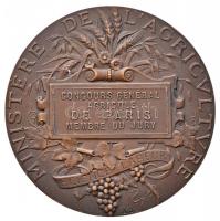 Franciaország ~1920. "Mezőgazdasági Minisztérium / Párizsi mezőgazdasági verseny zsűritagja&quo...