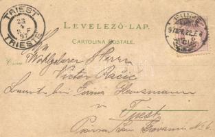 1897 Fiume, Via del Lido, Molo Adamich, litho