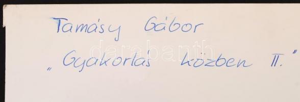 Régi fénykép: "Gyakorlás közben II.", F. Tamási Gábor. 30x30cm