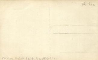 SS Viribus Unitis / K.u.K. navy, photo