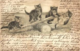 Cats, Edgar Schimdt Serie 7047. Emb. litho (EK)