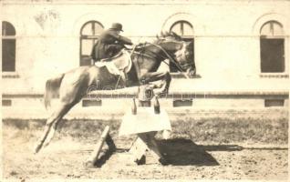 Horse jumping, photo (fl)