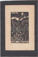 Armando Baldinelli (1908-2002): Ex libris Gianni Mantero. Fametszet, papír, jelzett a dúcon, művész hátoldali bélyegzőjével. / Wood engraving. With seal of the artist. 20x13,5 cm