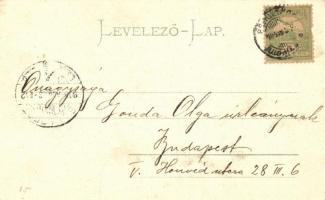 Badacsony, Szőlőhegy, villák; kiadja Vasvári József könyv- és papírkereskedése