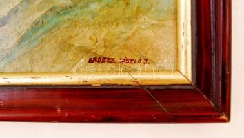 Erdélyi jelzéssel: Facsemete, olaj, fa, keretben, 28,5×16,5 cm