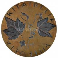 Torbágyi Novák József (1884-?) DN "Kitaibel Pál 1757-1817" Br plakett (97mm) T:2
Hungary N...