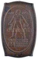 1948. "1848-1948 'A magyar név megint szép lesz, méltó régi nagy híréhez' - Petőfi - 5Ft - Magyar Partizán Baráti Szövetség" Br plakett. Szign.: M.J. (101x64mm) T:2 Hungary 1948. "Hungarian Partisan Association" Br plaque. Sign.: M.J. (101x64mm) C:XF