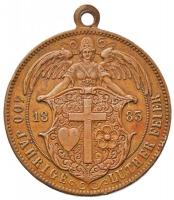 Német Birodalom 1883. "Martin Luther születésének 400. évfordulójára" Br emlékmedál (30mm)...