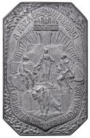 1942-1944. "A hazáért mindhalálig - Magyar Királyi Honvéd Ludovika Akadémia 1808" (2x) fém díjérmek különböző méretben (32,5x50mm), (48,5x75mm) T:2 Hungary 1942-1944. "For the motherland ever after / Hungarian Royal Honvéd Ludovika Academy 1808" (2x) metal award medals with diff. size (32,5x50mm), (48,5x75mm) C:XF