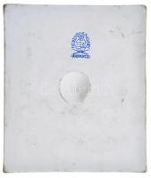 1989. "27. Országos Ifjúsági Bélyegkiállítás - Veszprém 1989. április 1-9." jelzett herend...