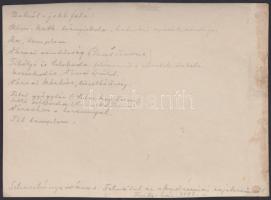 1896 Selmecbánya város fotó gyógyszertárral, rendőrséggel, hátoldalt részletes épület-felsorolással ...