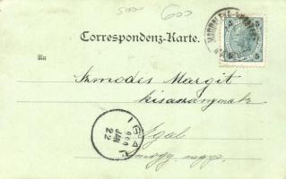 Maribor, Marburg an der Drau; Hauptplatz; Verlag von Heinrich Krapek / main square with the shop of ...