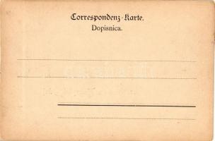 Tesanj (Doboj) Bezirksamt, Stadtthurm; Verlag Johann Streitz / office building, city tower; floral