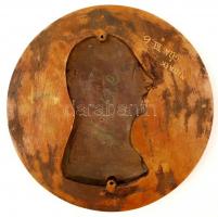 Réz plakett, "dr. Ujváry Géza Ny A Tábornok Hadbíró, Budapesten ötvenötödik évében 1931" f...