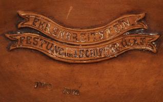 Johann & Ferdinand Maresch városképes (Ehrenbreitstein) falitányér, formába nyomott, kézzel fest...