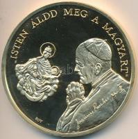 Bognár György (1944-) / Lebó Ferenc (1960-) 1991. II. János Pál pápa látogatása - Pécs aranyozott piefort emlékérem (65mm) T:PP