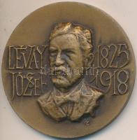 Képíró Zoltán (1944-1981) 1973. "Lévay József 1825-1918 / Lévay József Tudományos Könyvtár Emlékérme" Br emlékérem (50mm) T:2