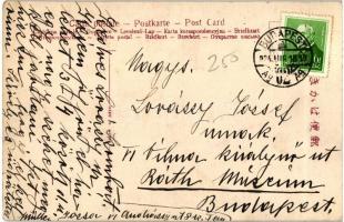 Japanese Geisha, photo